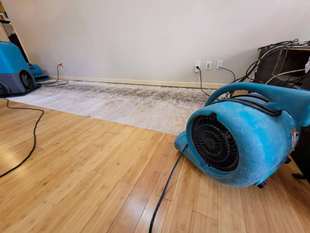 Professional Ceiling Water Damage Repair technician working in Ellsworth, MN